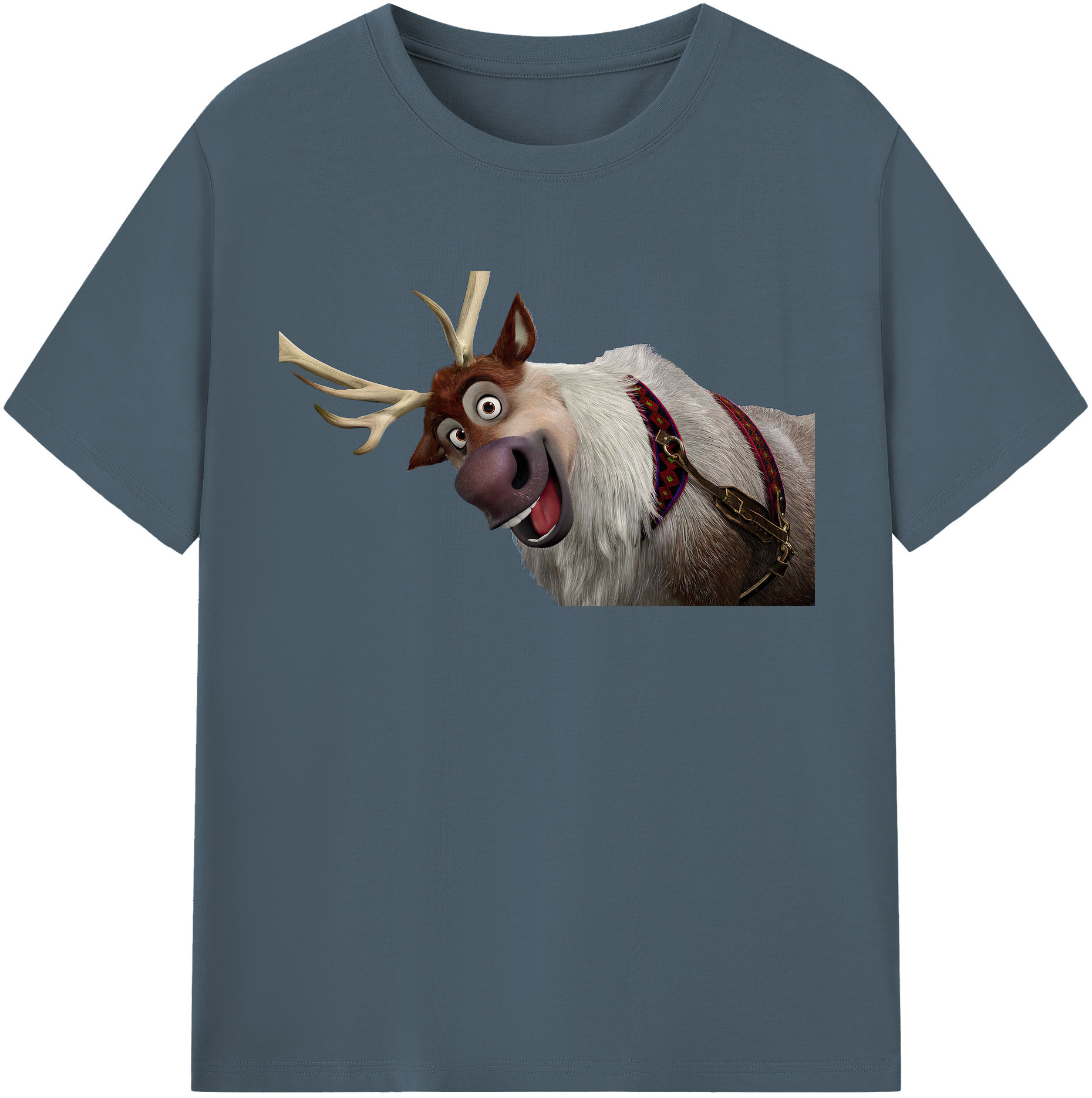 （画像用） アナと雪の女王 アンナ エルサ Frozen Anna Elsa 綿100％半袖Tシャツ（フロントプリント）